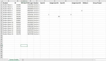 Spreadsheet of student data with additional rows removed