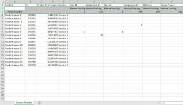 Spreadsheet of student data with additional rows